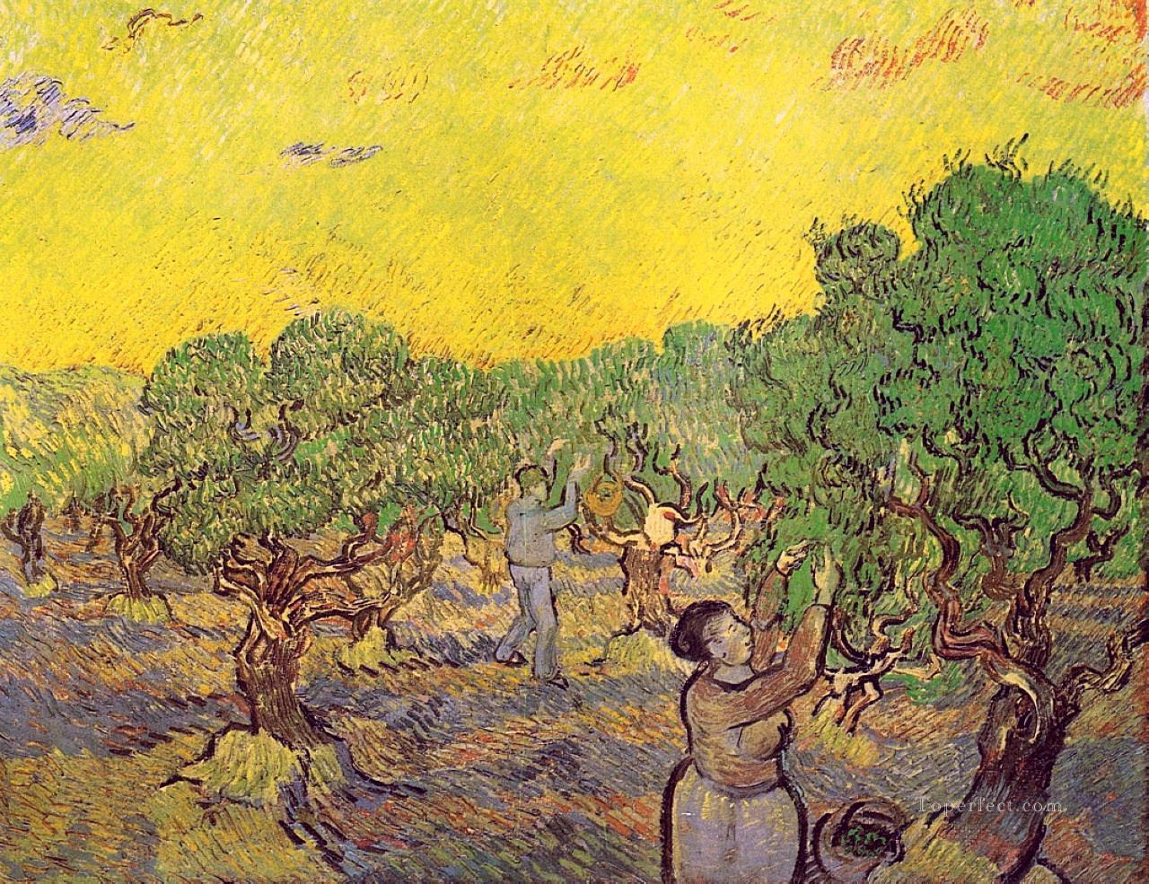 Olive Grove with Picking Figures Vincent van Gogh Oil Paintings
